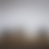 A static image with a smooth gradient transitioning from light gray at the top to dark brown at the bottom, no visible subjects or text.