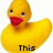 Yellow rubber duck with red beak and black eyes, positioned in a with text overlays