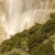 Pixelated landscape with dark green foliage on the right, light brown and beige sky on the left, and a bright white light source near the center-left.