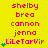 Yellow background with red text listing names and a green heart symbol, showing animation changes in heart count across frames.