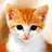 A pixelated orange and white cat with large black eyes appears on the left, while bright green text reads "Meow Mix Is Absolutely Delicious!" on a pink background to the right.