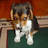 A pixelated dog sits on a green surface with a wooden structure behind it, next to yellow text reading "Is Knocking Over A Vase A Bad Thing?" on dark blue and gray backgrounds.