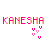 Pixelated text 'KANESHA' in bright pink with light pink and yellow accents, accompanied by four small pink V-shaped symbols below on a white background.