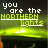 Pixelated text reads 'you are the NORTHERN lights' over a green aurora-like background with animated light shifts.