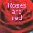 A static image of a red rose with pink text reading 'Roses are red violets are blue sugar is sweet and so are you' overlaid on the flower.