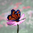 Animated sequence of a monarch butterfly on pink cosmos flowers against a soft green and pink sky background.
