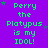Purple background with green text reading "Perry the Platypus is my IDOL!" repeated in a pattern, surrounded by small stars