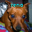 Pixelated image of a brown dog with blue eyes, overlaid with cyan text reading 'xeno' above its head.
