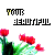 Animated sequence of red tulips with green stems and leaves, accompanied by 'YOUT' text above 'BEAUTIFUL', where the letters in both words change color across frames.