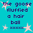 A static image with cyan background, purple text reading 'the goose fluffed a hair ball', and light pink star shapes scattered across the surface.
