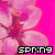 Pixelated pink flower with four petals on bright pink background, text 'spring' in black and white block letters at bottom.