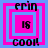 Four identical square display 'erin is cool!' text with pink and blue borders, each showing a different border configuration