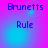 Pixelated text 'Brunetts' and 'Rule' on a gradient background with shifting light effects.