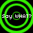 Four identical green concentric circles on black background with white text 'Say WHAT?' repeated across all quadrants.