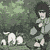 Animated sequence of a figure in gray clothing holding a small white animal in a green outdoor setting with multiple white animals in background.
