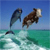 Animals icons for AIM, MSN, MySpace and Yahoo