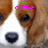 Pixelated close-up of a dog's face with brown and white fur, dark eyes, and a black nose, overlaid with pink text reading 'cutie'.