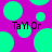 A static image with a bright magenta background covered in large cyan circles of varying sizes, with the text "TaM Or" in black pixelated font repeated twice.