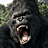A 4-frame contact sheet of King Kong with open mouths, showing different angles and a text overlay on the bottom-right frame.
