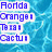Pixelated blue water background with white text boxes containing purple pixelated words, including "Florida Orange," "Texas Cactus," and "We Swim Your Team." The bottom left has "Just For Practice" in the same style.