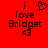 Red background with black pixelated text 'i love Bridget' and a heart symbol above the word 'love', plus two '<3' symbols below.