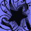 Blue and black patterned background with repeating star shapes, some solid blue stars on dark outlines.