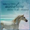 A static image shows a horse in profile against a beach background with text reading 'take a little sunshine shine it all around' in dark blue script.