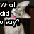 A static image of a cat with a frog hat and text overlays reading 'What did you say?', 'It's Saturday', and 'NO WAY!' in pixelated font.