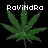 Three green cannabis leaf icons with pixelated text above or over them on a black background, one partially obscured by gray overlay.