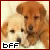 Two dogs with light brown and white fur appear in a pixelated image; the left dog has darker eyes while the right dog's eyes are lighter, both facing forward.