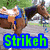 A horse with a blue bridle and saddle appears in three distinct poses across the image