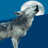 A wolf howls at a full moon against a blue background, with visible animation changes across frames.