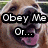 Four- of a golden retriever dog with text overlays in each , showing sequential expressions and phrases