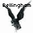 Pixelated black bird with outstretched wings above bold pixelated text reading 'Bellingham' on white background.