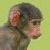 A pixelated monkey face on a light yellow background next to green text reading 'Original Icons .com' on dark green.