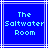 Blue background with white lines and light blue pixelated text reading "The Saltwater Room" in three centered lines