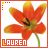 nine identical orange flower icons with green stems, each labeled 'LAUREN' in red text below the bloom