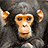 A 4-frame contact sheet of a pixelated monkey image with blue text on black background, showing sequential animation frames.