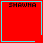Four red square with cyan borders display "SHAWNA" text, each contains a distinct cyan symbol in the bottom-right corner