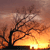 Pixelated sunset scene with dark tree silhouette against orange and yellow gradient sky, sun partially visible at bottom right.