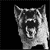 A black-and-white animated sequence shows a dog's head with mouth open, teeth visible, and ears perked, transitioning through with subtle motion blur effects