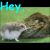 Animated sequence showing a hamster peeking from behind a rock with text changes.
