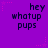 Purple background with repeated text 'hey whatup pups' in dark blue pixelated font, surrounded by pink star and dotted line decorations.