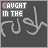 12 displays the phrase 'CAUGHT IN THE' with varying letter coloration and subtle background waveforms, each showing a distinct animation frame