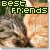 Two cats nuzzle under 'best friends' text; the top-left frame shows green text, top-right orange text, and bottom-left mixed-color text.