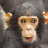 A pixelated monkey face on the left, with blue text reading "a wise monkey never monkeys with another monkey's monkey!" on a black background.