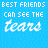 Animated contact sheet of a blue-themed buddy icon sequence showing text and symbols changing across frames, with 'BEST FRIENDS CAN SEE THE tears' at top and 'BEHIND THE smile' below on a dotted background.