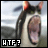 iconhell__raiindrops__WTF!