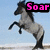 A horse rearing up against a light blue sky with a white horizon line, with pink text overlays reading 'Soar', 'High', and 'Stables' in different positions.
