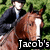 A horse with a white blaze on its face is ridden by a person in dark clothing, with text overlays reading Jacob's Ladder Love.
